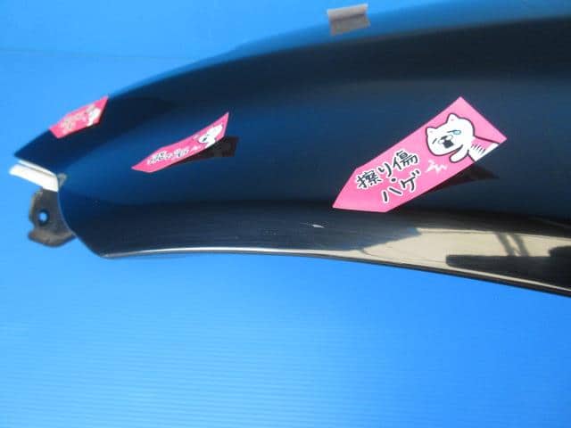 Left Fender Panel NISSAN Murano 2007 CBA-TZ50 — photo 3
