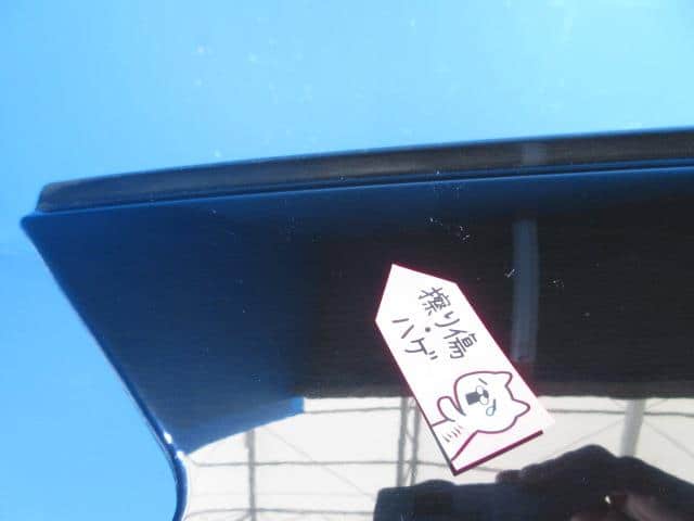 Left Fender Panel NISSAN Murano 2007 CBA-TZ50 — photo 2