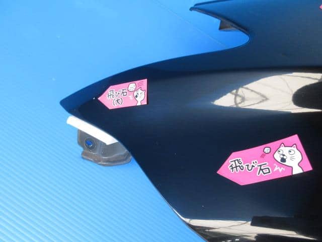 Left Fender Panel NISSAN Murano 2007 CBA-TZ50 — photo 4