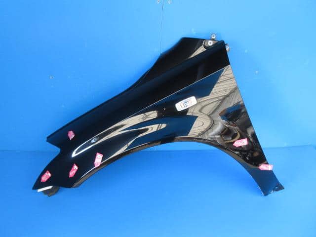 Left Fender Panel NISSAN Murano 2007 CBA-TZ50 — photo 1