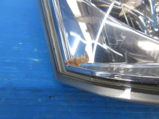 Left Tail Light NISSAN Fuga 2005 CBA-Y50 — photo 4