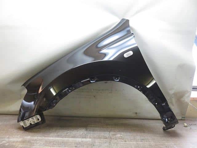 Left Fender Panel NISSAN Dualis 2007 DBA-J10 F31011YAAA — photo 1