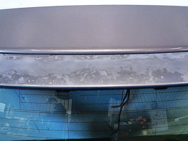 Back Door Assembly MAZDA MPV 2007 DBA-LY3P L2Y96202XM — photo 2