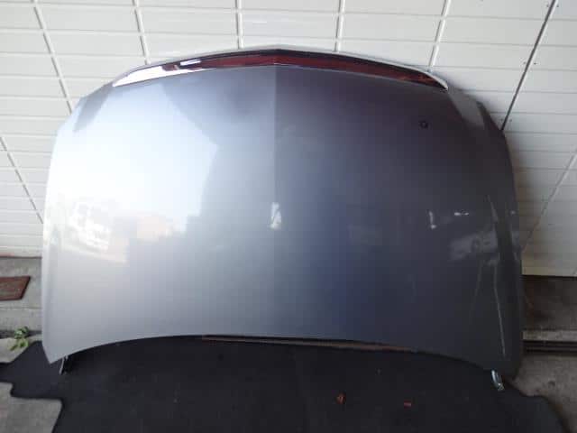 Bonnet Hood HONDA Fit Aria 2005 DBA-GD8 — photo 1
