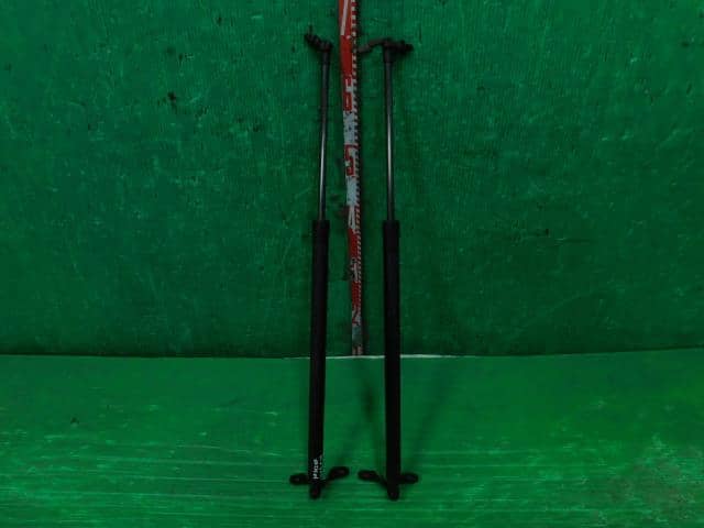 Tail Gate Damper SUZUKI Wagon R 2010 DBA-MH23S — photo 1