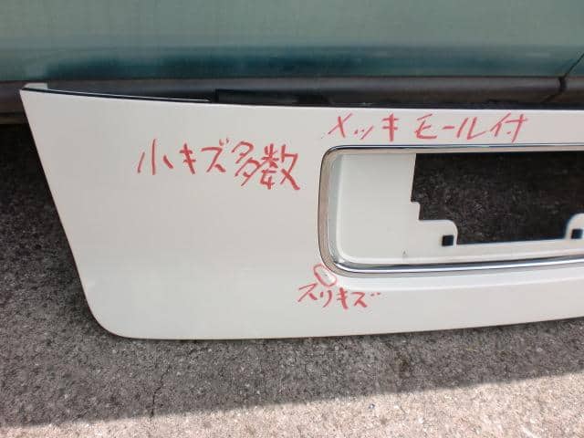 Rear Finish Panel HONDA Elysion 2004 DBA-RR1 — photo 2