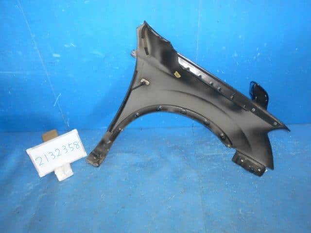 Left Fender Panel NISSAN Dualis 2009 DBA-KJ10 — photo 2
