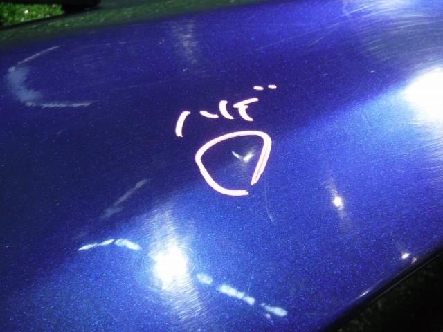 Right Fender Panel TOYOTA Prius 2010 DAA-ZVW30 — photo 4