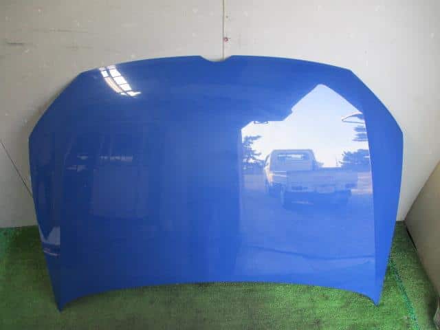 Bonnet Hood VOLKSWAGEN Polo 2010 DBA-6RCBZ — photo 3