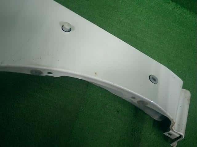 Left Fender Panel NISSAN Presage 2006 DBA-TNU31 — photo 3