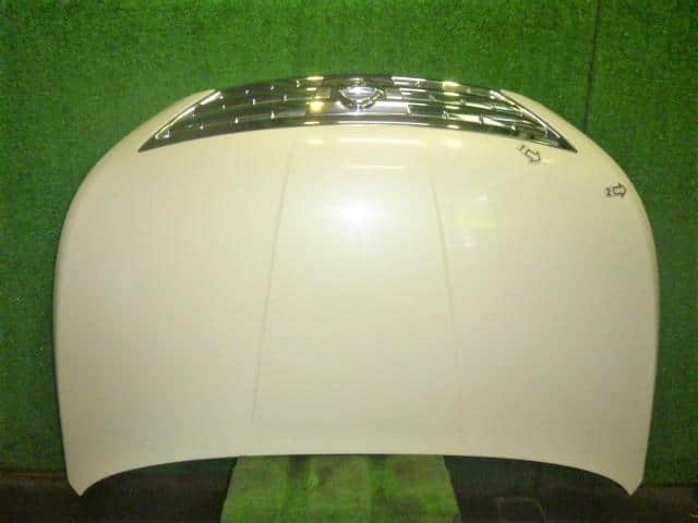 Bonnet Hood NISSAN Presage 2003 UA-TU31 — photo 1