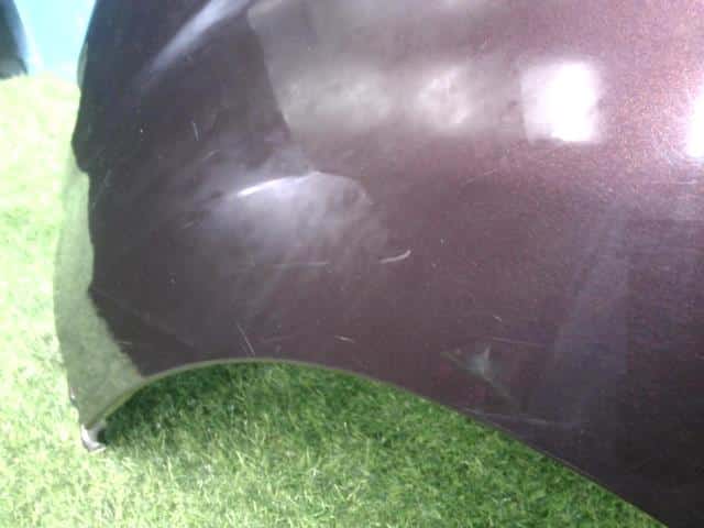 Left Fender Panel DAIHATSU Tanto 2009 DBA-L375S — photo 6