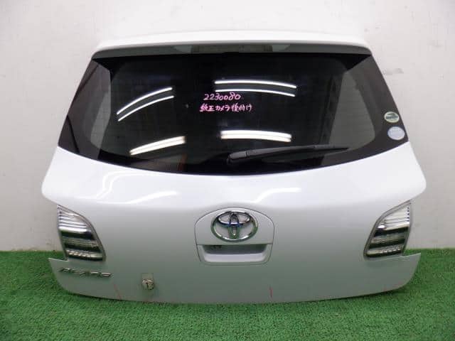 Back Door Assembly TOYOTA Blade 2007 DBA-AZE15 — photo 1