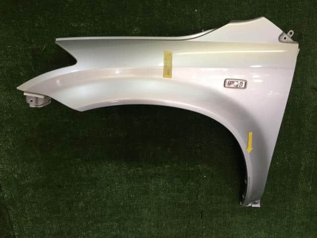 Left Fender Panel NISSAN Murano 2005 CBA-PNZ50 — photo 1