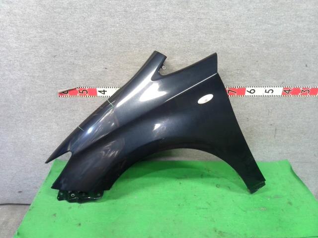 Left Fender Panel TOYOTA Wish 2011 DBA-ZGE25 — photo 1
