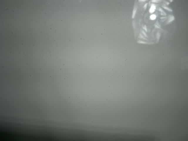 Bonnet Hood HONDA Freed 2009 DBA-GB3 — photo 5