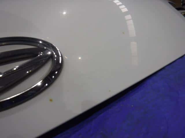 Bonnet Hood DAIHATSU Hijet 2006 GBD-S330V — photo 8