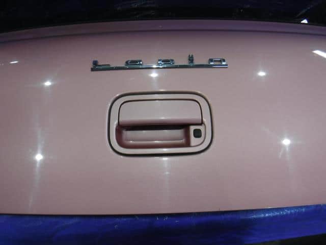 Back Door Assembly SUZUKI Lapin 2012 DBA-HE22S 6910085K00 — photo 6