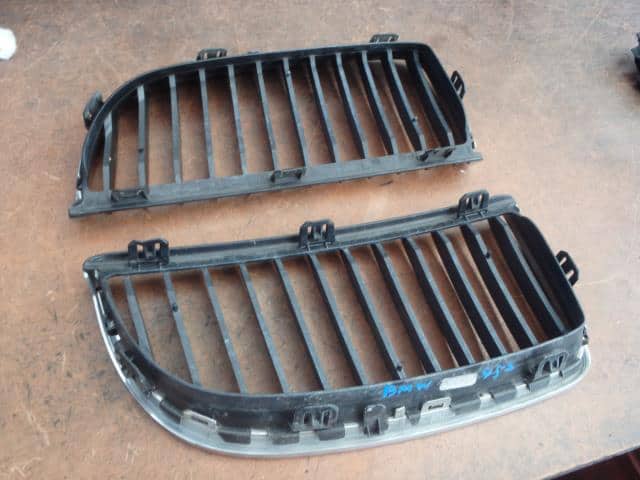 Radiator Grille BMW 3 Series 2008 ABA-VR20 — photo 2