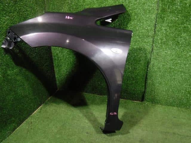 Left Fender Panel NISSAN Note 2013 DBA-E12 — photo 1