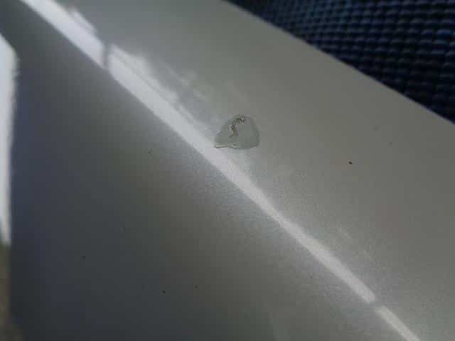 Right Fender Panel SUZUKI Wagon R 2001 TA-MC22S 5761176F00 — photo 5