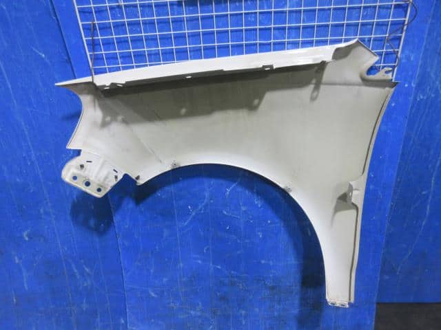 Right Fender Panel VOLKSWAGEN Polo 2009 ABA-9NBUD — photo 2
