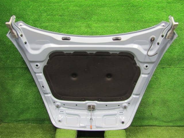 Bonnet Hood VOLKSWAGEN The Beetle 2013 DBA-16CBZ 5C5823031A — photo 5