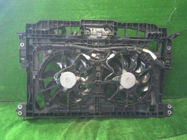 Radiator Core Support NISSAN Elgrand 2010 DBA-TNE52 — photo 1