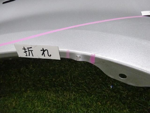 Left Fender Panel TOYOTA Porte 2010 CBA-NNP10 — photo 3