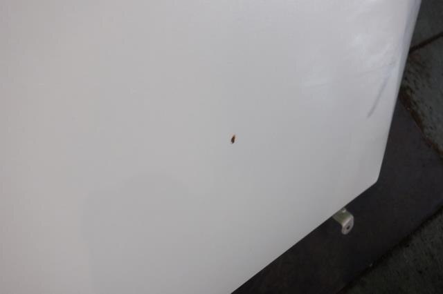 Bonnet Hood TOYOTA Ractis 2010 DBA-NCP125 — photo 2