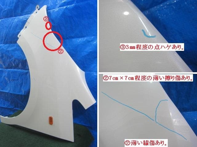 Left Fender Panel HONDA Step Wagon 2006 DBA-RG1 — photo 3