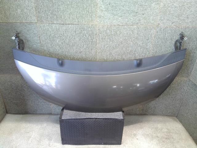 Bonnet Hood TOYOTA IQ 2009 DBA-KGJ10 — photo 1