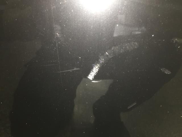 Bonnet Hood TOYOTA Lexus gs 2007 DAA-GWS191 — photo 2