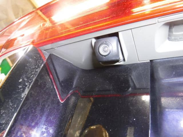 Back Door Assembly HONDA Elysion 2010 DBA-RR2 — photo 4