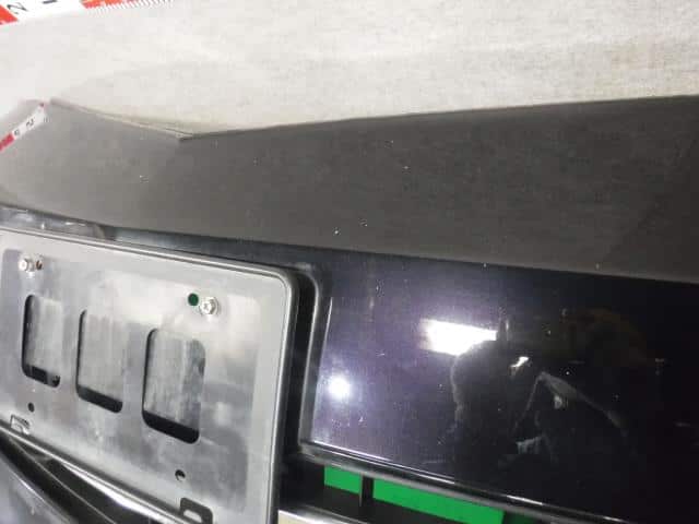 Front Bumper HONDA Elysion 2010 DBA-RR2 — photo 8