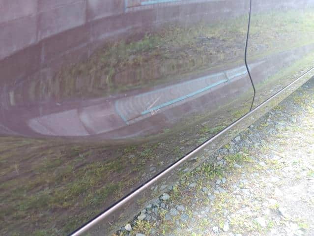 Rear Right Door Assembly NISSAN Dayz 2017 DBA-B21 — photo 5