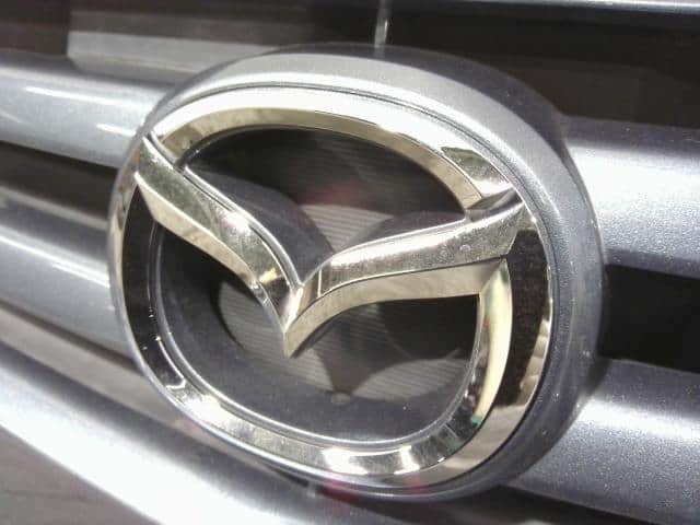 Radiator Grille MAZDA Az wagon 2005 CBA-MJ21S 1A1750710 — photo 3