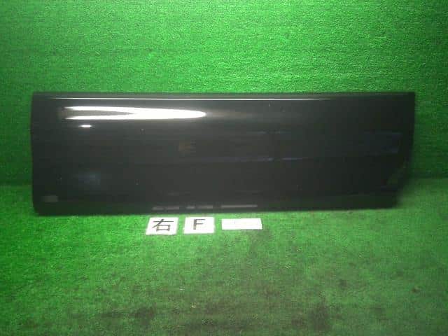 Side Door Panel NISSAN Serena 2012 DAA-HC26 — photo 1