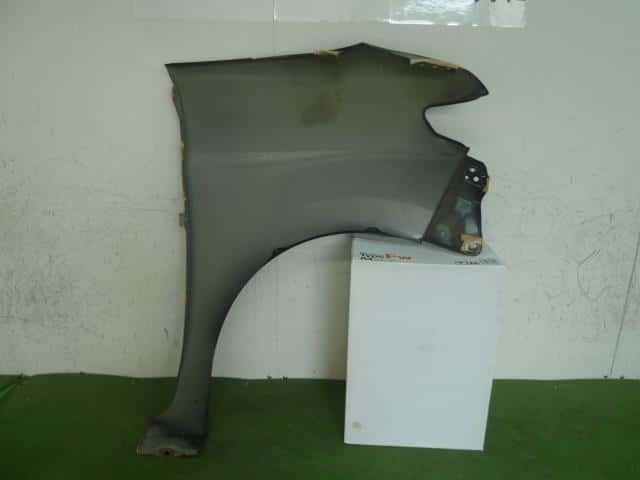 Left Fender Panel DAIHATSU Tanto 2007 DBA-L375S — photo 7