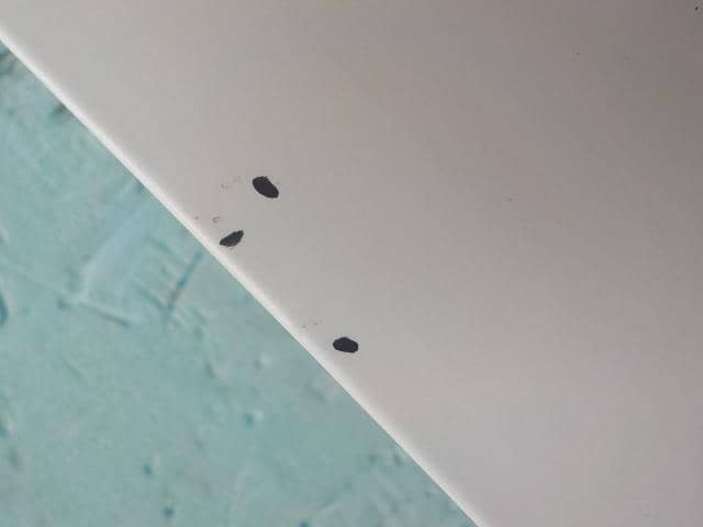 Front Right Door Assembly SUZUKI Palette 2012 DBA-MK21S — photo 4