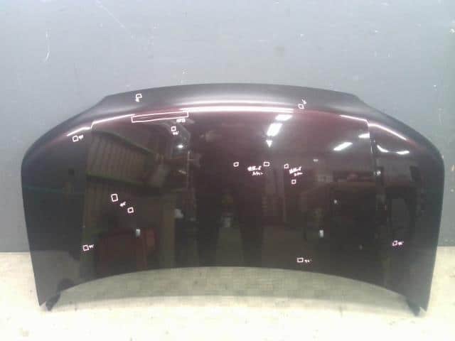 Bonnet Hood SUBARU DEX 2009 DBA-M411F 53301B1050 — photo 1