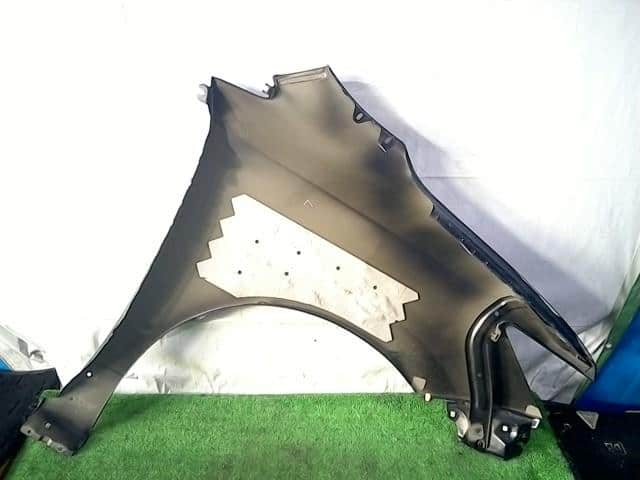 Left Fender Panel NISSAN Elgrand 2010 DBA-PNE52 — photo 2