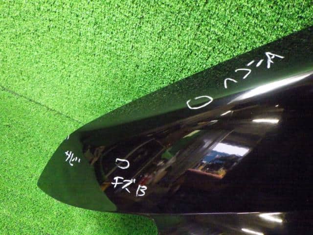 Left Fender Panel NISSAN Serena 2007 DBA-NC25 — photo 4