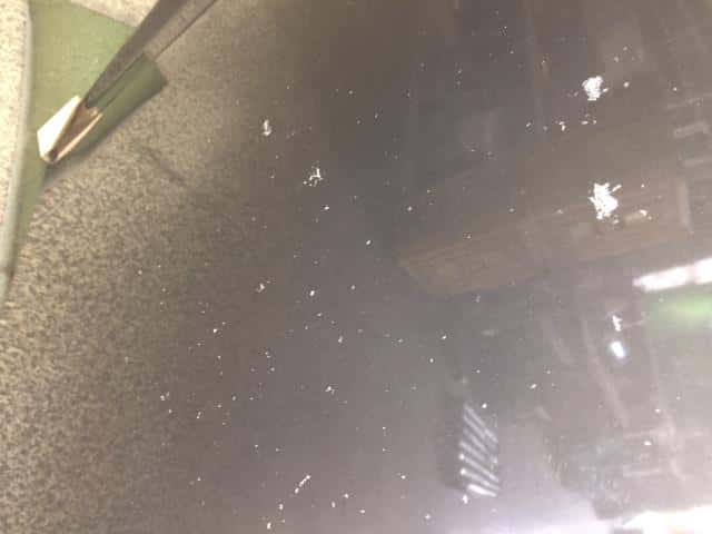 Bonnet Hood NISSAN Fuga 2005 CBA-PY50 — photo 2
