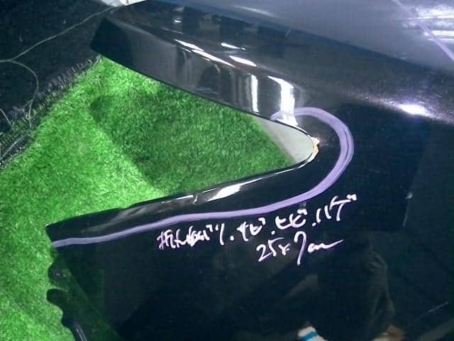 Left Fender Panel NISSAN Elgrand 2017 DBA-TNE52 — photo 3
