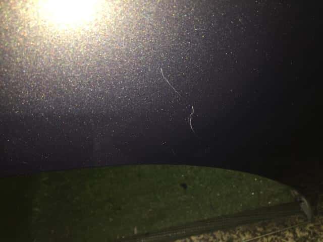 Left Fender Panel NISSAN Fuga 2009 DBA-KY51 — photo 2