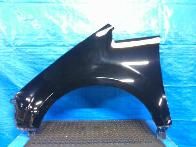 Left Fender Panel MITSUBISHI Delica D5 2008 DBA-CV5W — photo 1