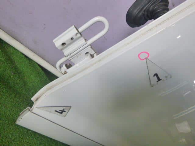 Rear Left Door Assembly AUDI Audi a6 2006 ABA-4FBVJA — photo 3