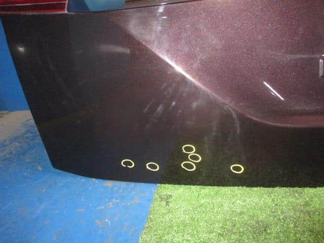 Back Door Assembly NISSAN Elgrand 2010 DBA-PE52 — photo 2