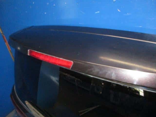 Back Door Assembly NISSAN Elgrand 2010 DBA-PE52 — photo 5